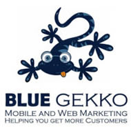 Logo for Blue Gekko Logo for Blue Gekko